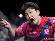 开云下载-关于日本乒乓球队碾压比利时乒乓球队，张本智和高光表现的信息