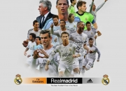 开云体育在线-字母哥化身关键先生，热火力克广东队背后的唯一性