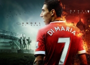 开云体育-狼王新生，爱德华兹在抢七之夜的绝对统治