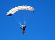 开云体育直播-加克波刷新纪录的夜晚，那不勒斯用防守艺术锁死巴西锋线