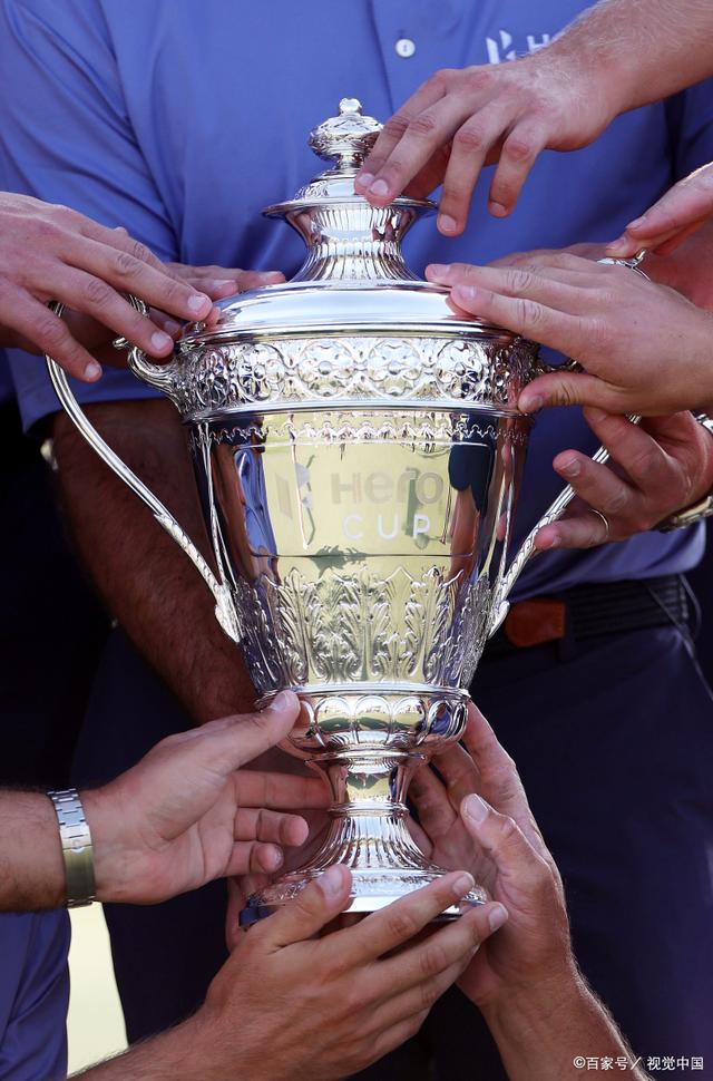 温网逆转戴维斯杯，蒂姆扛起全队的简单介绍