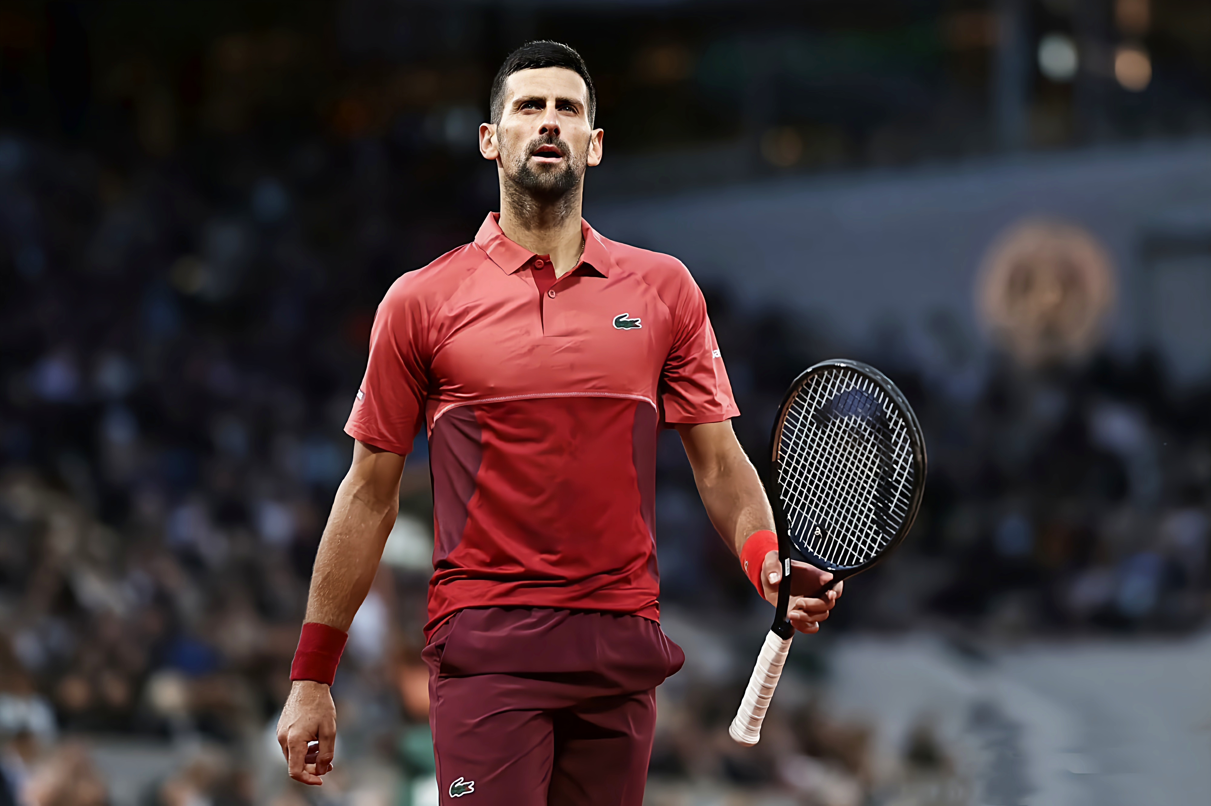 法网横扫澳网,德约科维奇统治全场 法网横扫澳网,德约科维奇统治全场