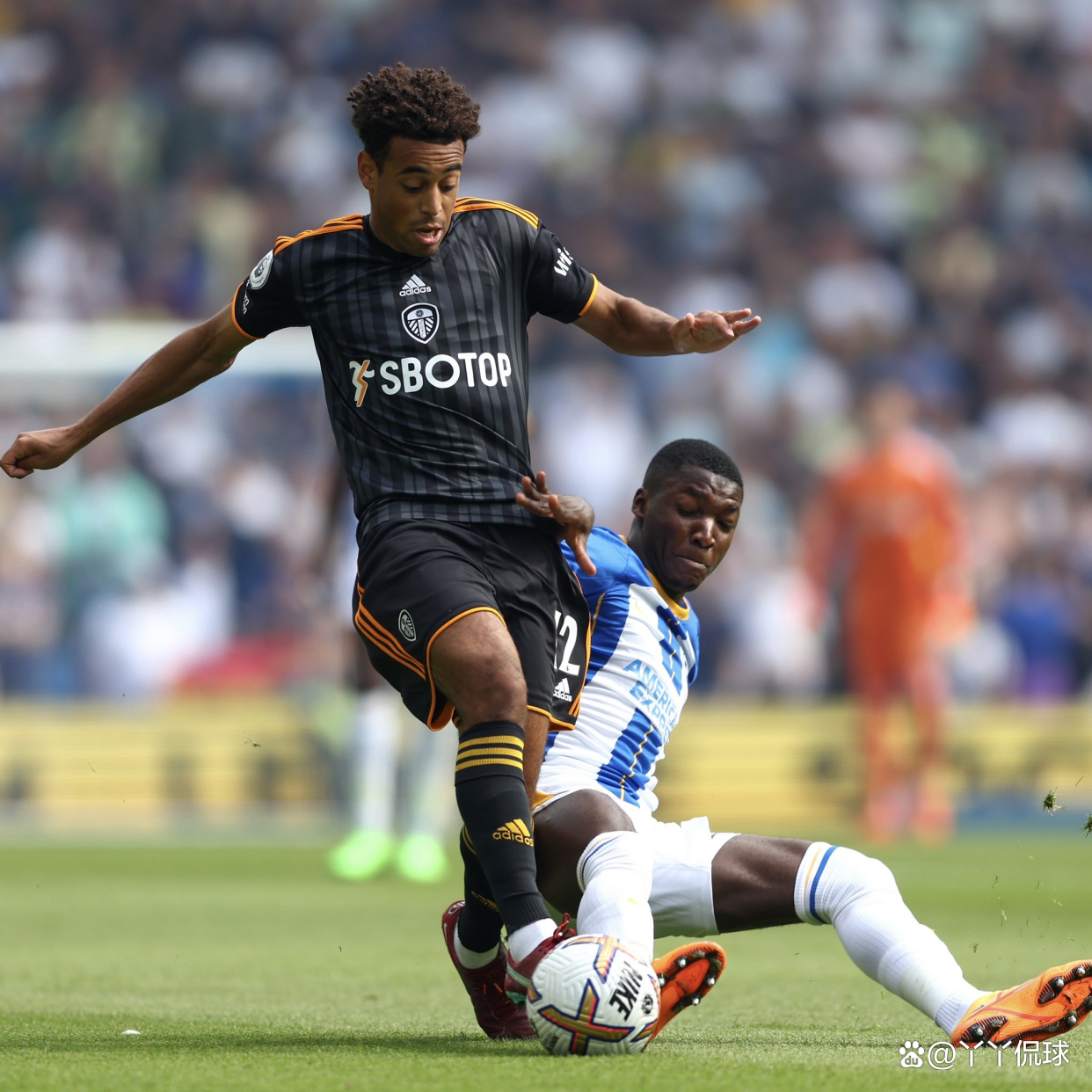 关于南安普顿再下一城，布莱顿客场保持不败的信息