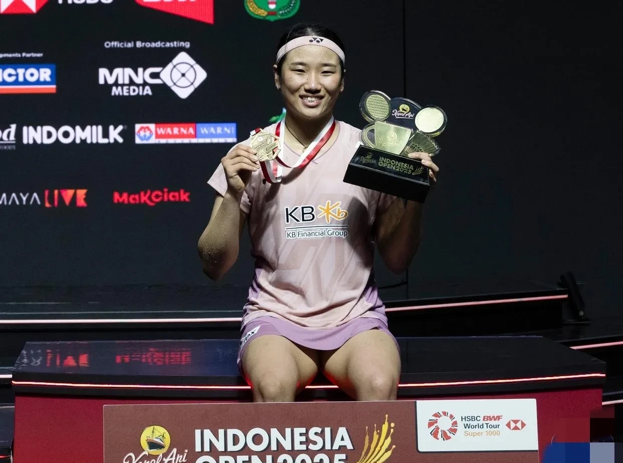 中国羽毛球队鏖战印尼羽毛球队，陶菲克爆发神勇的简单介绍