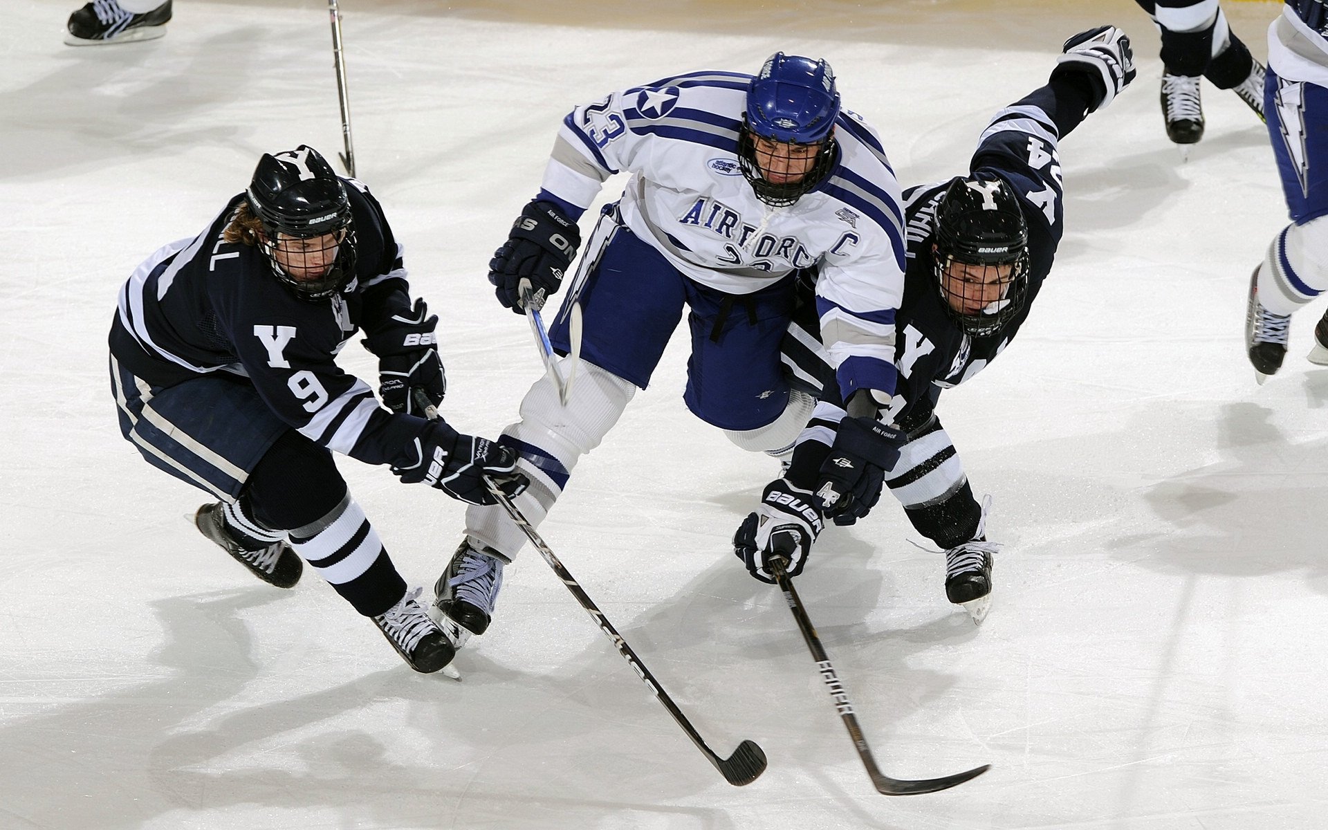 数据全面爆炸！恩比德统治全场，上海队轻取黄蜂