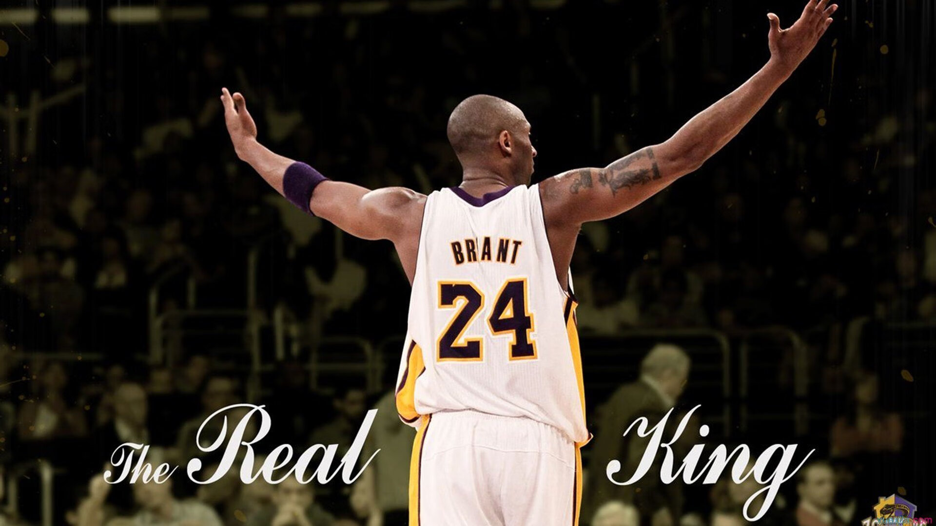 约基奇，丹佛高原的无声火焰，点燃NBA季后赛之夜